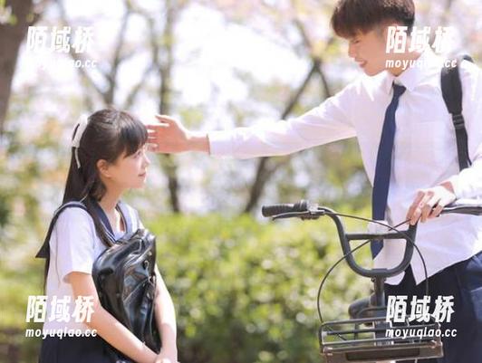 冲哥精选发布：2025，快来看看“吃瓜老手”都有哪些葵花宝典！