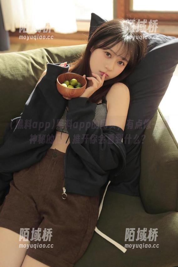 黑料app的网页，有点像一扇神秘的门，推开你会看到什么？