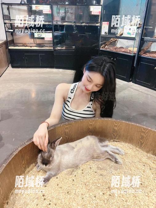 直达黑料吧，准备好迎接那些意想不到的瓜了吗？