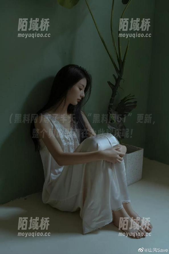 等了半天，“黑料网51”更新，整个舆论圈都在为此欢庆呢！